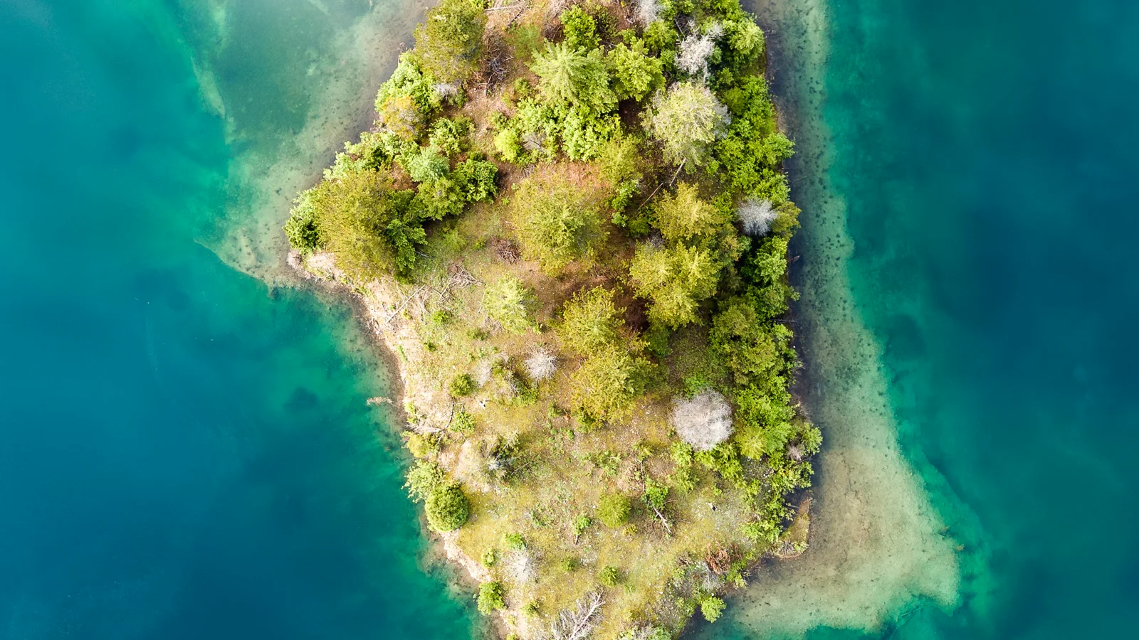 A drone view of the island in Gold Creek Pond at Snoqualmie Pass